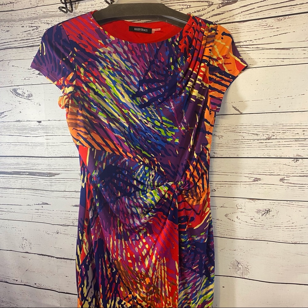 Ellen Tracy Black Red And Blue Rose Dress Colorful Size 10